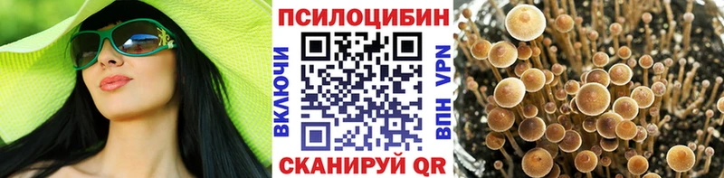 Псилоцибиновые грибы мицелий Балаково